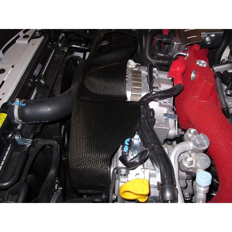 APR Performance Carbon Fiber Alternator Cover (CBE-WRXALT08)