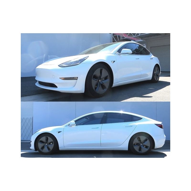 RS-R Down SUS Lowering Springs for 2017+ Tesla Model 3 RWD (TL001TD)