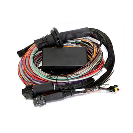 Haltech Elite 2500 + Premium Uni Wire-in Harness Kit 2.5m (8') (HT-151304)