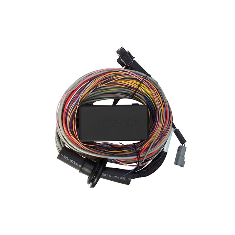 Haltech Elite 750 + Premium Universal Wire-in Harness Kit 5.0m (16') (HT-150605)