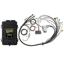 Load image into Gallery viewer, Haltech Elite 2500 V8 Big &amp; Small Block Terminated Harn Kit - EV1 (HT-151376)