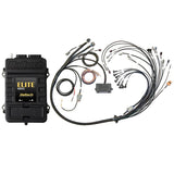 Haltech Elite 2500 V8 Big & Small Block Terminated Harn Kit - EV1 (HT-151376)