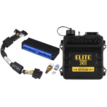 Load image into Gallery viewer, Haltech Elite 750 PnP Adapt Harn ECU Kit Nissan Patrol Y60 Y61 Auto (HT-150661)