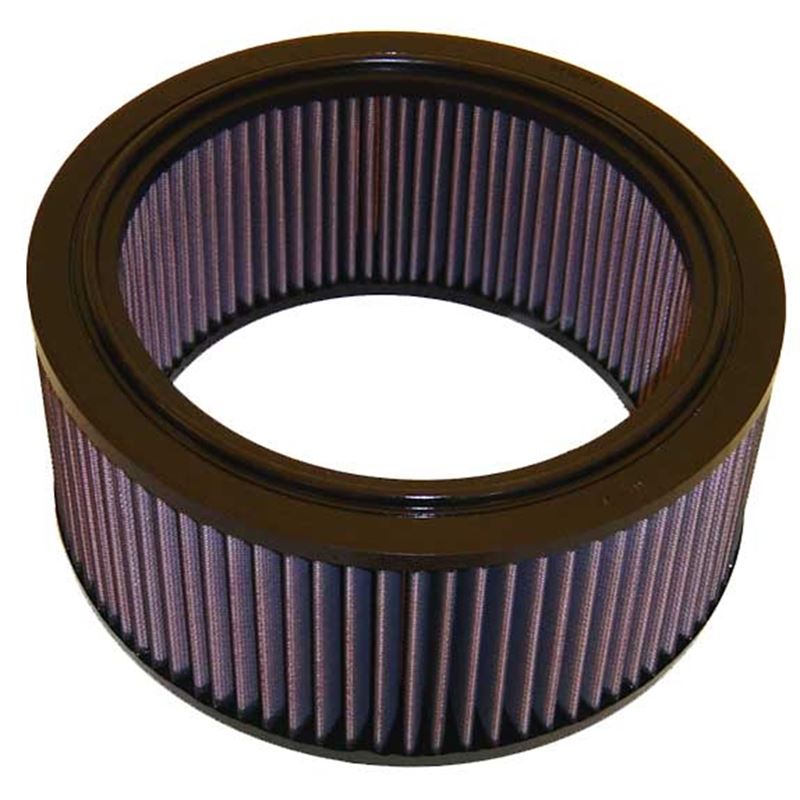 K&N Air Filter (E-1460)