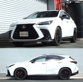 RS-R 2022+ Lexus NX350h FWD / NX350 AWD Down Sus Springs (T539D)