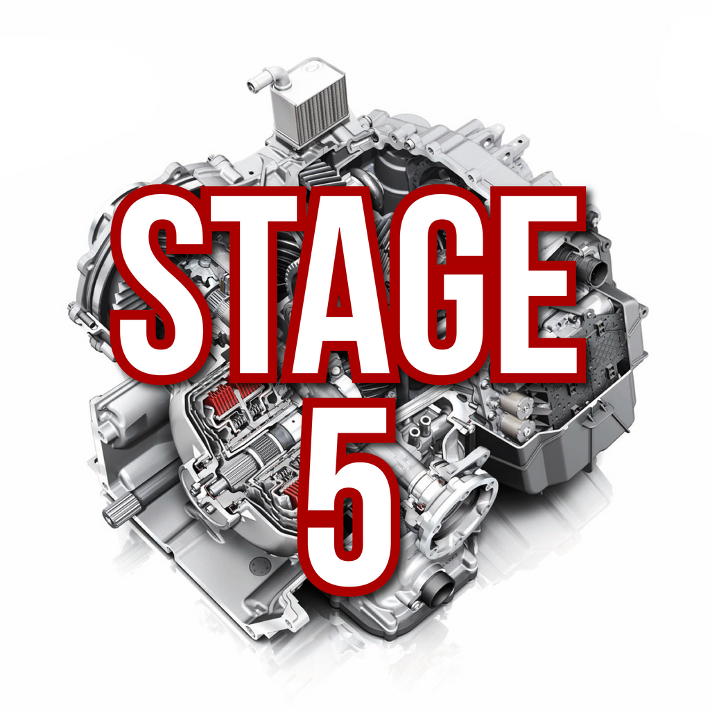 AMS Performance DL800 Stage 5 Dodson 9/9 (ALP.37.03.0050-1)
