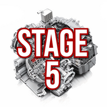 Load image into Gallery viewer, AMS Performance DL800 Stage 5 Dodson 10/10 (ALP.37.03.0050-2)