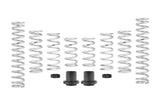 Eibach Pro-UTV 14-16 Polaris RZR XP 4 1000 EPS Stage 3 Performance Springs (E85-209-001-03-22)