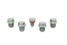 Load image into Gallery viewer, HPS Performance Stainless Steel Magnetic Oil Drain Plug Kit (MDPK-100)