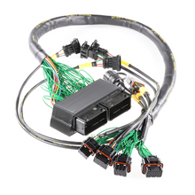Load image into Gallery viewer, Boomslang Plug-and-Play Harness Integration for MoTeC M150 (BF24225-M150)