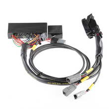 Load image into Gallery viewer, Boomslang Plug-and-Play Standalone ECU Harness Solution for AEM Infinity 506 (BF21074-506)