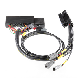 Boomslang Plug-and-Play Standalone ECU Harness Solution for AEM Infinity 506 (BF21074-506)