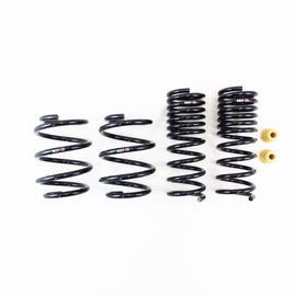 RS-R 2024 Subaru WRX TR(VBA) Down Sus Springs (F407D)