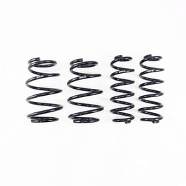 RS-R 19-25 Toyota RAV4 Prime Down Sus Springs (T061D)