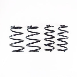 RS-R 2023+ Lexus RX350 AWD Down Sus Springs (T232D)
