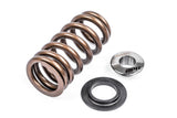 APR APR Valve Springs/Seats/Retainers - Set of 20 - MS100089