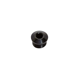 Snow Performance 10AN ORB Plug (SNF-60009)